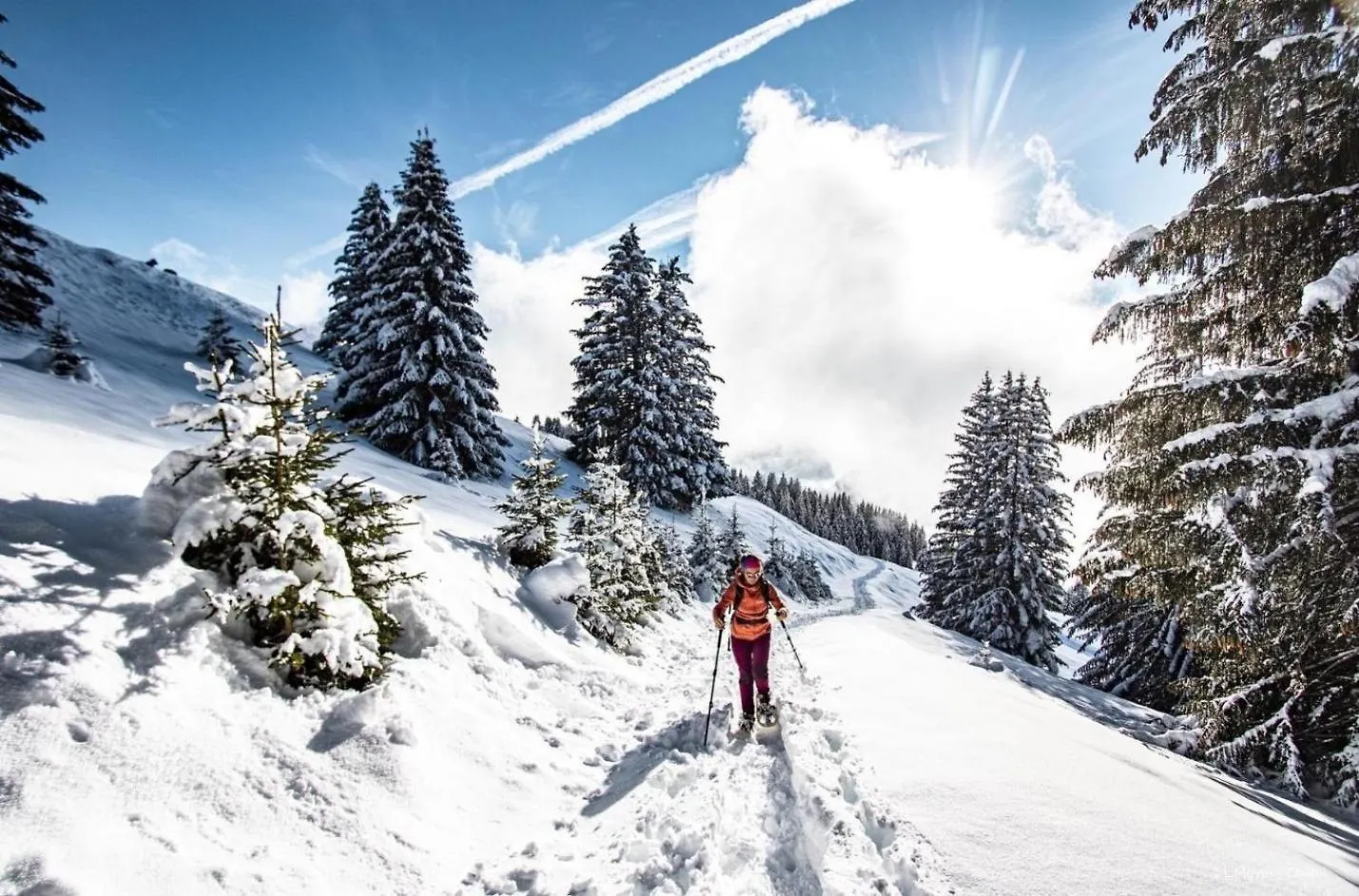 Cristal De Roche Ci2 Calme & Mountain 8 Pers Apartment Chatel 0*,